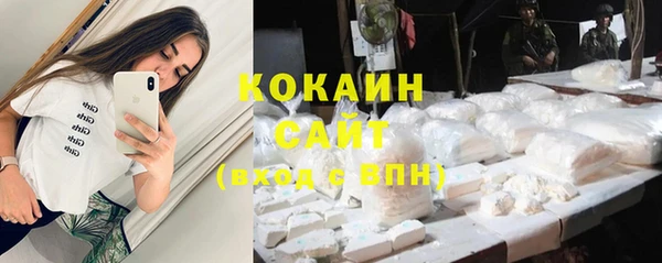 индика Верея