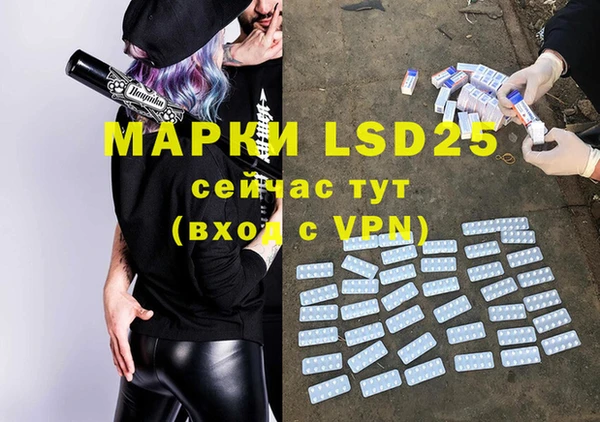 индика Верея