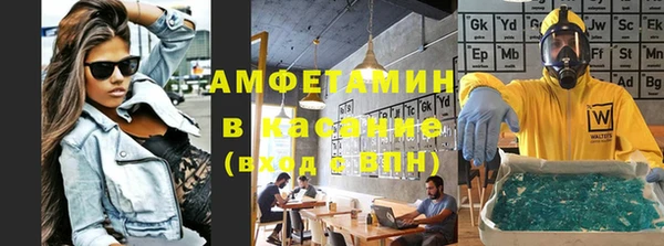 индика Верея