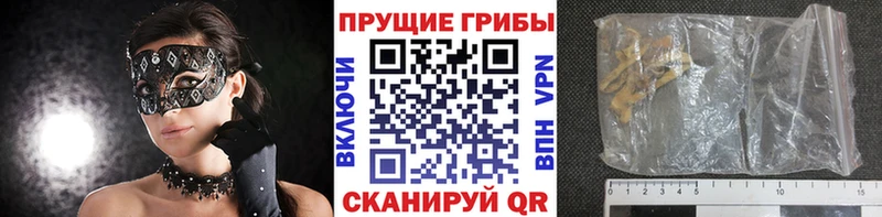 Псилоцибиновые грибы мицелий  Дятьково 